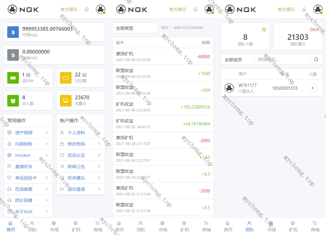 响应式NGK区块链源码/NGK矿机挖矿源码/NGK公链程序/数字钱包源码下载