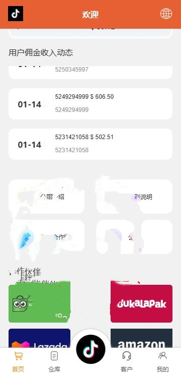(推荐）海外tiktok多语言抢单刷单系统/前端uniapp/刷单打针