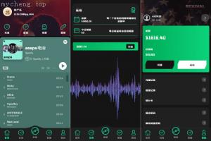 独家特别推荐_前端uniapp 全新多语言 音乐刷单系统 海外音乐抢单 策略组派单_商业精品
