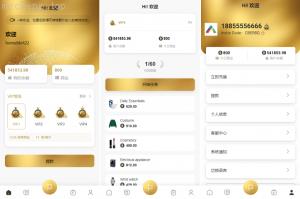 独家特别推荐_海外多语言 抢单刷单系统 连单卡单 刷单抢单源码 UI PHP_商业精品