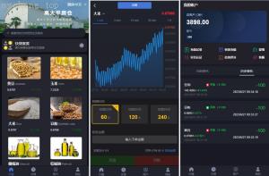 独家特别推荐_新版微交易 二开版微交易系统 重构版海外微盘系统 粮食微盘系统 K线正常 二开微盘_商业精品